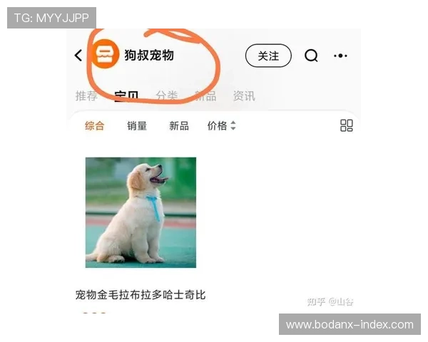 大型体育赛事预热买球票的网站防骗避坑指南